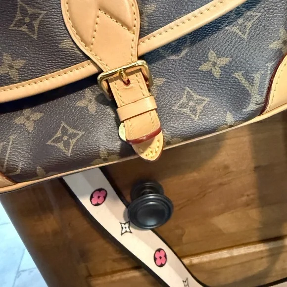 Louis Vuitton Monogram Diane Brown and Tan Crossbody Bag - Picture 5 of 5